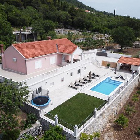 Villa Dragic Pridvorje Luaran gambar